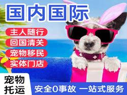 阜阳机场托运国际宠物托运 【国
